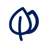 星空官方網(wǎng)頁(yè)版