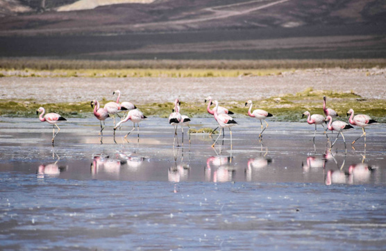 星空官方網頁版