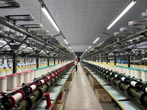 用好 數(shù)字化出海口 山東周村絲綢通過阿里國(guó)際站出海全球50多國(guó)